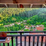The Pine Living - Guest house