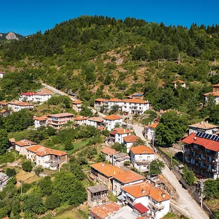 Guest house The Pine Living - Levochevo