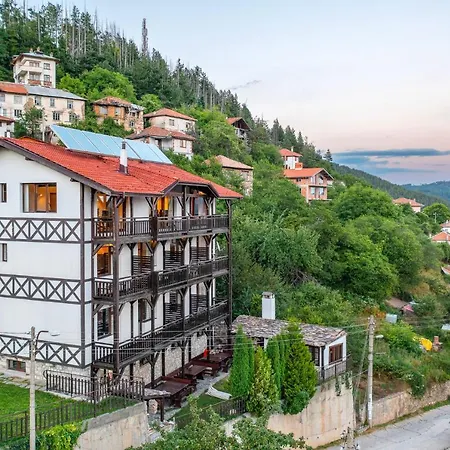 The Pine Living - & Guest house