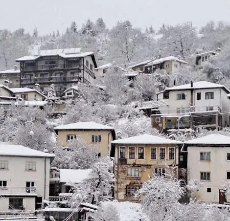 Guest house The Pine Living - *