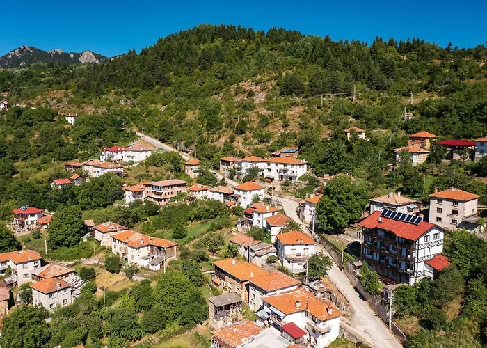 Guest house The Pine Living - & Levochevo