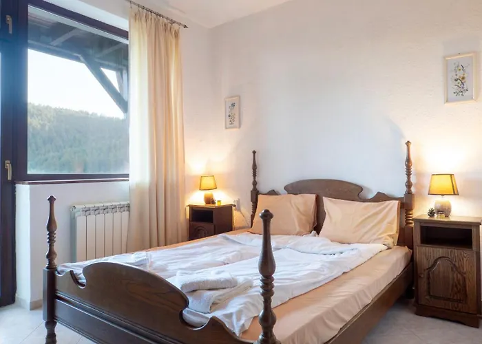 The Pine Living - & *