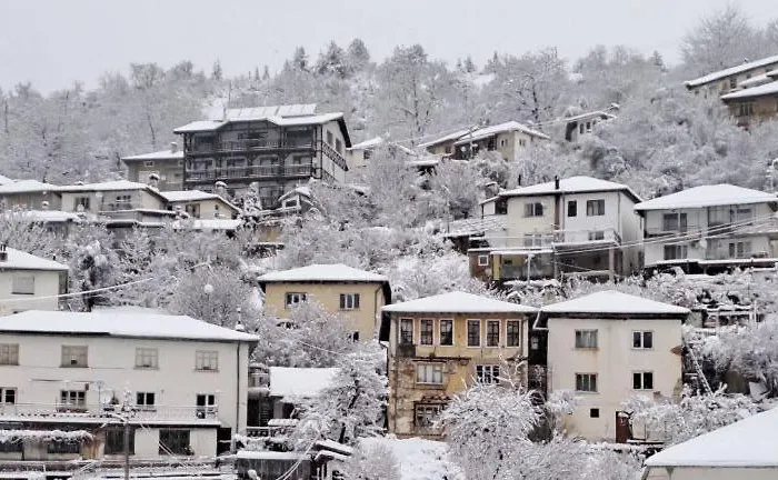 Guest house The Pine Living - & *