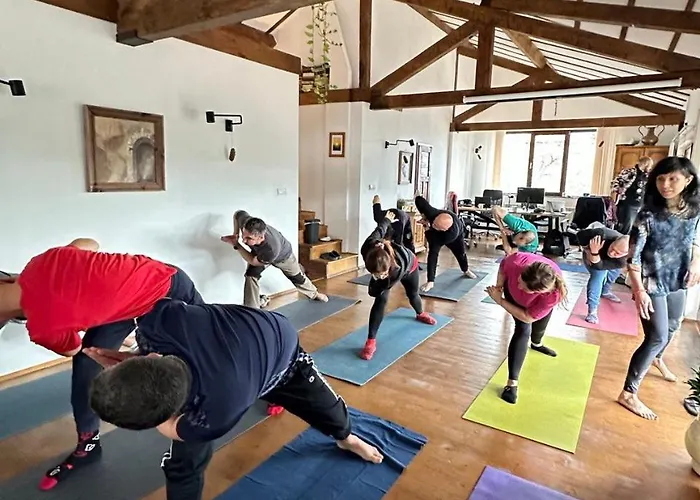 Guest house The Pine Living - & *